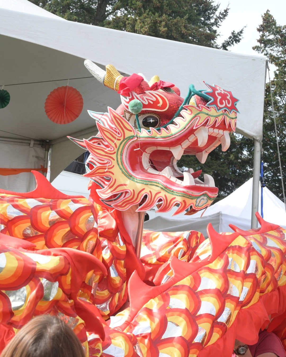 Chinese Dragon — Tapestry Festival